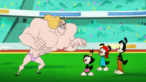 Animaniacs – T01E03 – Gold Meddlers/Pinko and the Brain/Math-Terpiece Theater: Apples [Sub. Español]